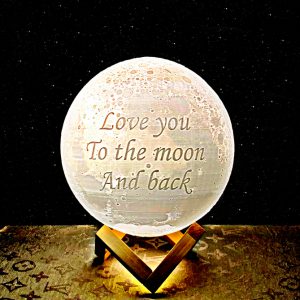 Love you to the moon and back moon night light