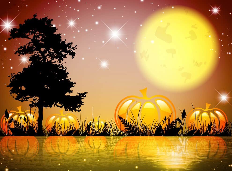 true moon lamp for sale